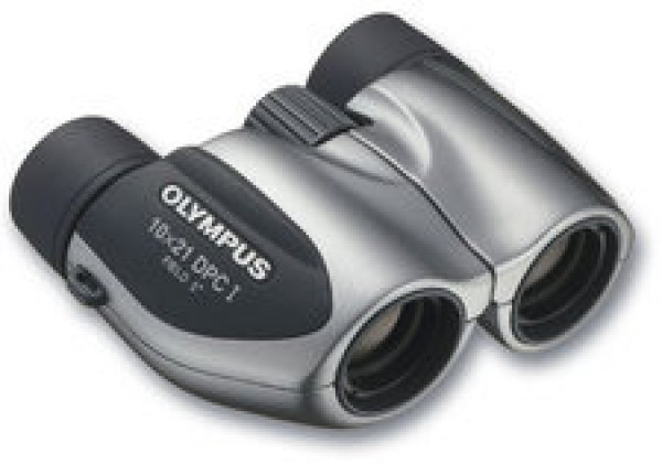 BN_LB_SP_10-x-21-DPC-I-silver_l_rdax_225x158